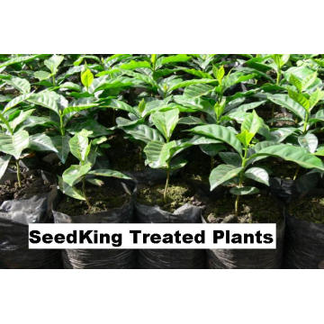 Plant Protection Plant Growth Regulatorseedking